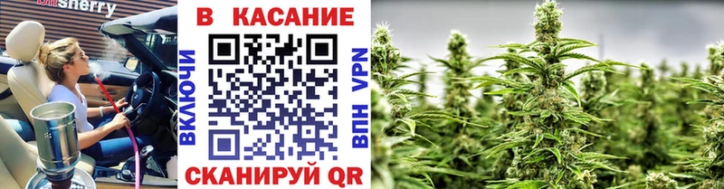 Купить закладку Alpha-PVP  Галлюциногенные грибы  МДМА  Меф мяу мяу  КОКАИН  Реутов
