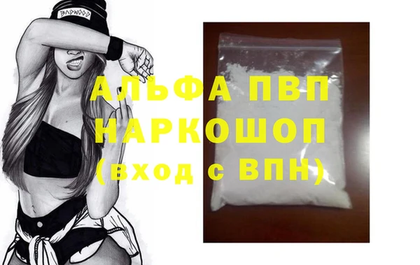 шишки Каменногорск