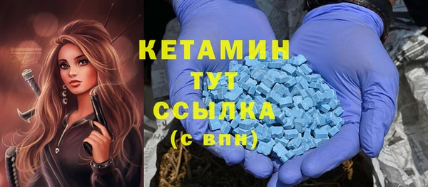 шишки Каменногорск