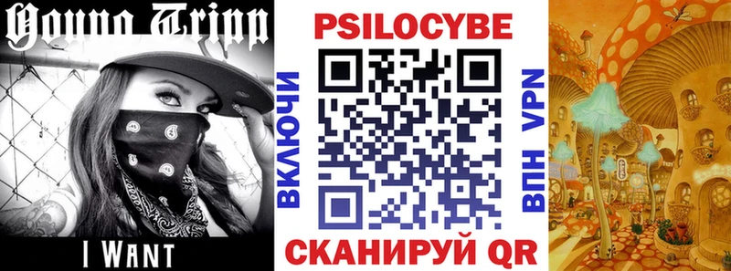 Галлюциногенные грибы Psilocybe  Купить где  Реутов 
